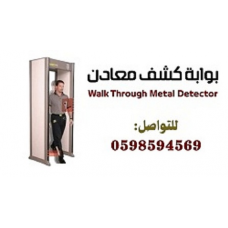 بوابة كشف المعادن