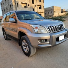 برادو 2005 Prado