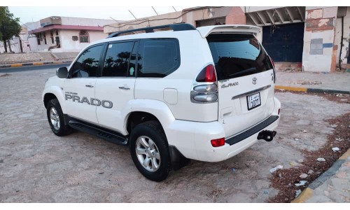 برادو 2008 Prado