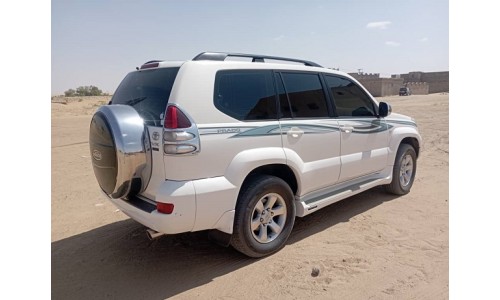 برادو 2008 Prado